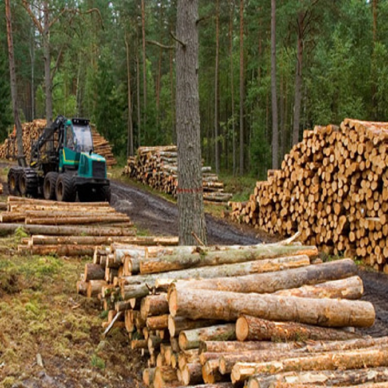 Är det nödvändigt att upprätthålla en konsekvent arkiveringsvinkel och djup när man skärper en motorsågkedja?